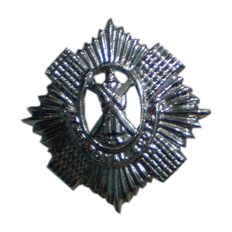 Metal Badge and Button